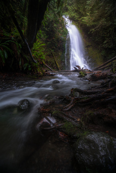 Madison Falls, Olympic National Park by Jesse Vance