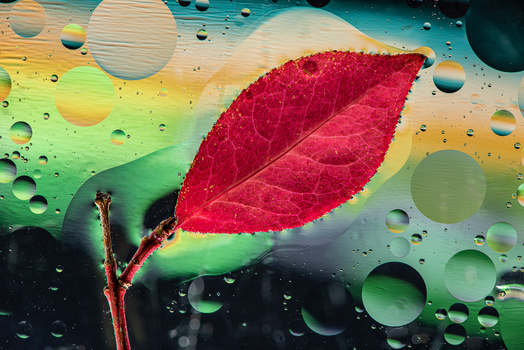 View Untitled 5 by Marc-Emmanuel Jean-Baptiste