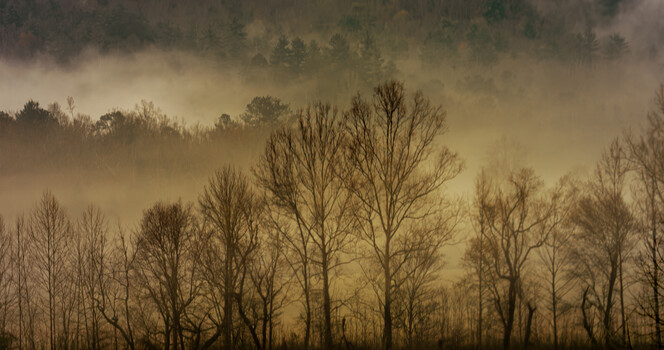 Image "Sunrise in the Smokys" by Jerry Ranch