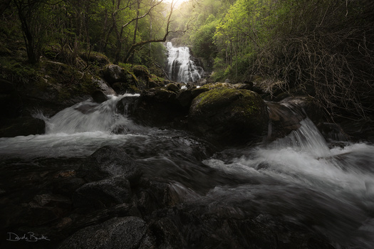 Image "Flow" by Davide Beretta