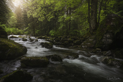 Image "Fairytale" by Davide Beretta