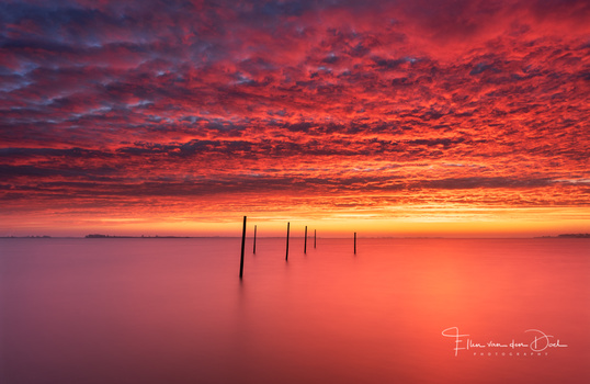 Image "Epic Sunrise" by Ellen van den Doel