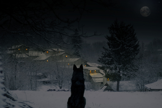 View Untitled 1 by Freddy Alb