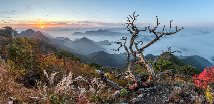 Image "Antler" by jaeyoun Ryu