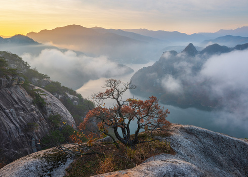 The last autumn of the tree by jaeyoun Ryu