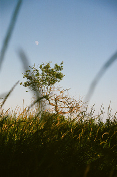 View Untitled 15 by Andrew Howe