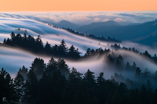 Image "Fog Dreams" by Alexander Davidovich