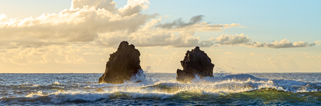 Image "lovers of Kahali'i" by Cody Yamaguchi