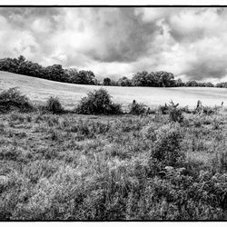 View Untitled 3 by Ronald Gillis