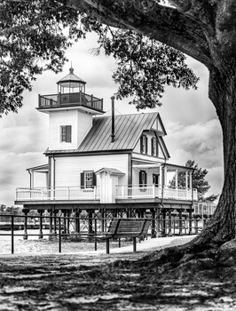 Image "Beneath the Oak" by Kyle Foreman