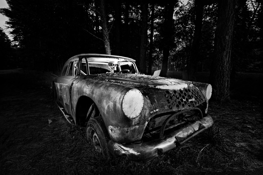 Image "Back From the Dead" by Kyle Foreman