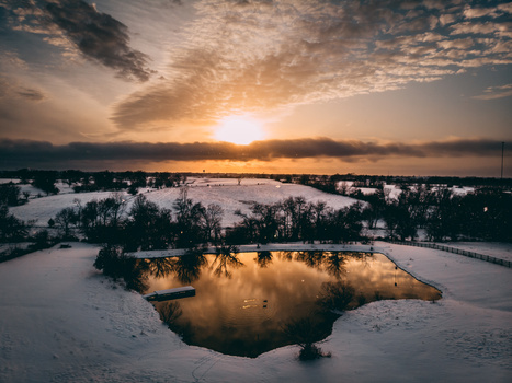 View Untitled 4 by Jackson Mann