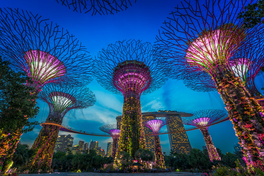 View Singapore Gardens By The Bay by Nico Trinkhaus
