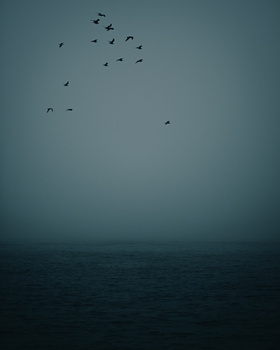 View Untitled 5 by Rendell Tunner