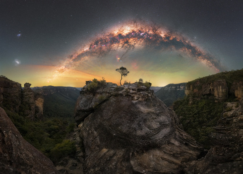 The Tree of Life II by Jose Luis Cantabrana