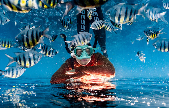 Snorkeler in red wetsuit surrounded by striped tropical fish in clear blue water
