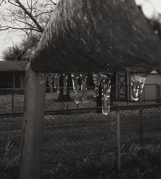 View Untitled 3 by Bobby Wood
