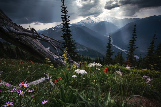 View Untitled 13 by Trevor Parker