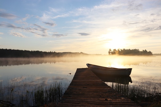 Image "Quit morning" by Sylvester Lave