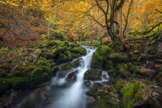 Image "Autumn day" by alfonso maseda varela