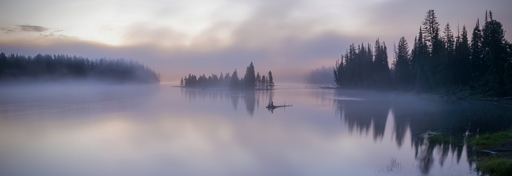 View Untitled 15 by matt alberts
