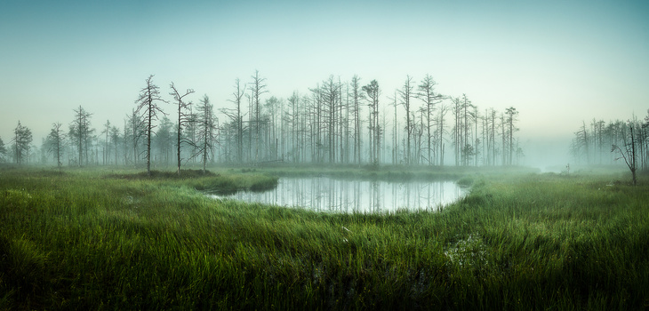 View Untitled 3 by Kristaps Dišlers