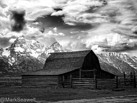 Image "Morning Row" by Mark Seawell