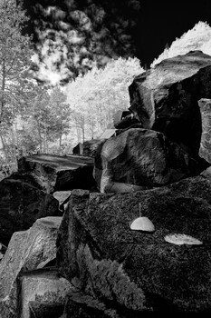 Image "Where autumn begins" by Mark Seawell