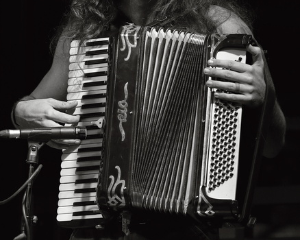 Image "Newt's Squeezebox" by Michael Clark