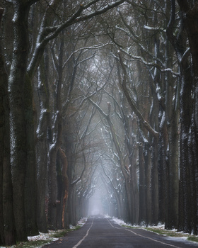 View Untitled 4 by Jeroen Schouten