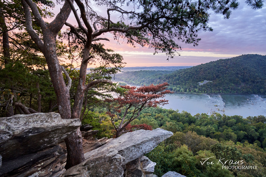 Image "Delicate Sunrise" by Joe Kraus