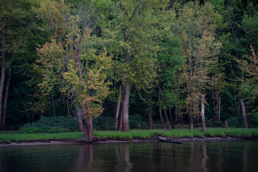 Image "St. Croix River" by Molly Widstrom