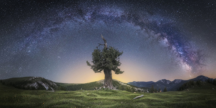 View Untitled 5 by Daniel Trippolt