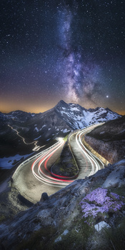 View Untitled 6 by Daniel Trippolt