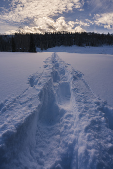 View Snowshoe by Zach T. Smith