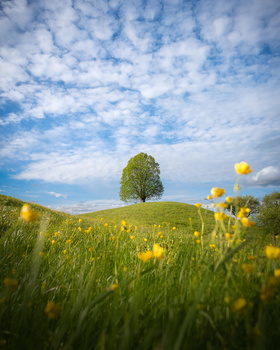 Image "Spring time" by Anton Galitch