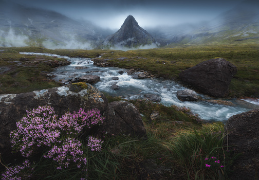 Image "FairyFlow" by Alessandro Cerro