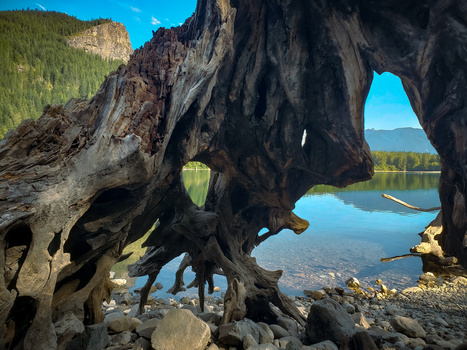 Image "Shooting Through..." by Bri Kathleen