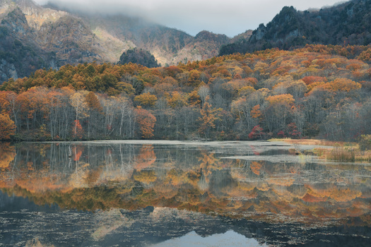 Image "Reflective orange" by Taisuke Goto