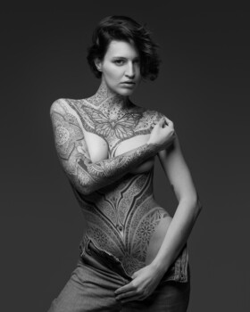 Image "The Monarch" by stephane rouxel