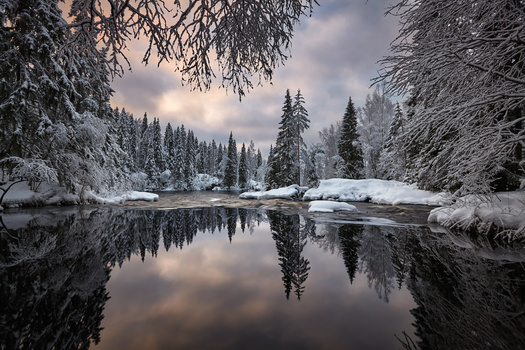 View Northern looking-glass world by Nik & Alexandra