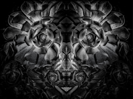 View Untitled 9 by OA Photography