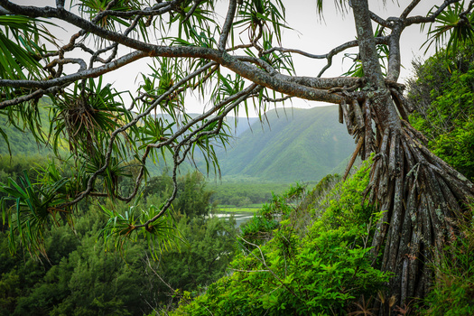 View Untitled 6 by Jacob Bogitsh
