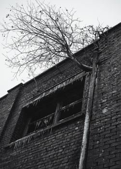 View Untitled 3 by Ibrahim Touhami
