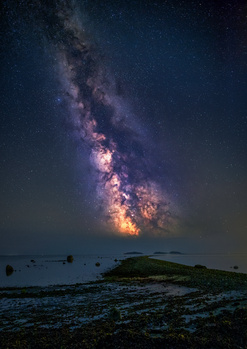 Image "Saltee milk" by Daniel Morris