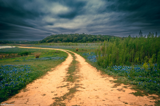 Image "Moody Blues" by Will Swinnea