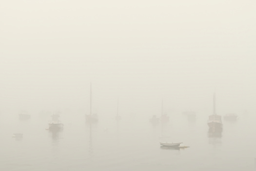 Image "Foggy morning" by Alan Brown