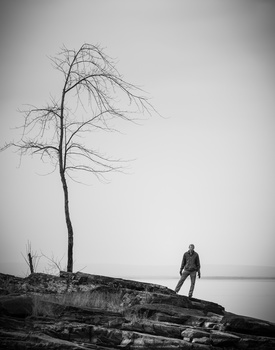 Image "Companions" by Alan Brown