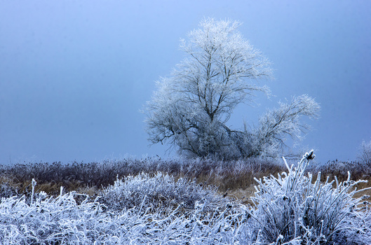 View Untitled 4 by Dragan Jovanovic