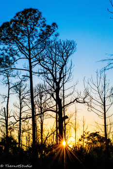 View Sunset by Eric Wuerth